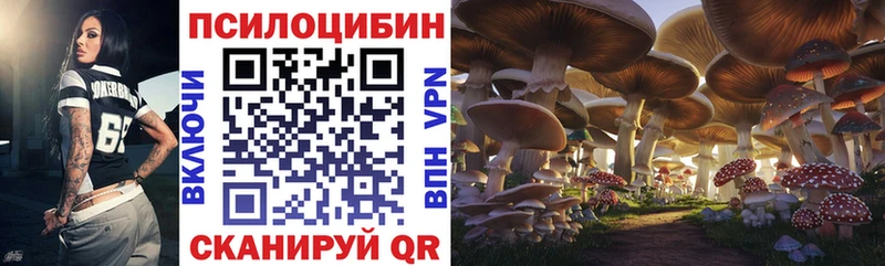 Купить  Полярный  Галлюциногенные грибы Magic Shrooms 